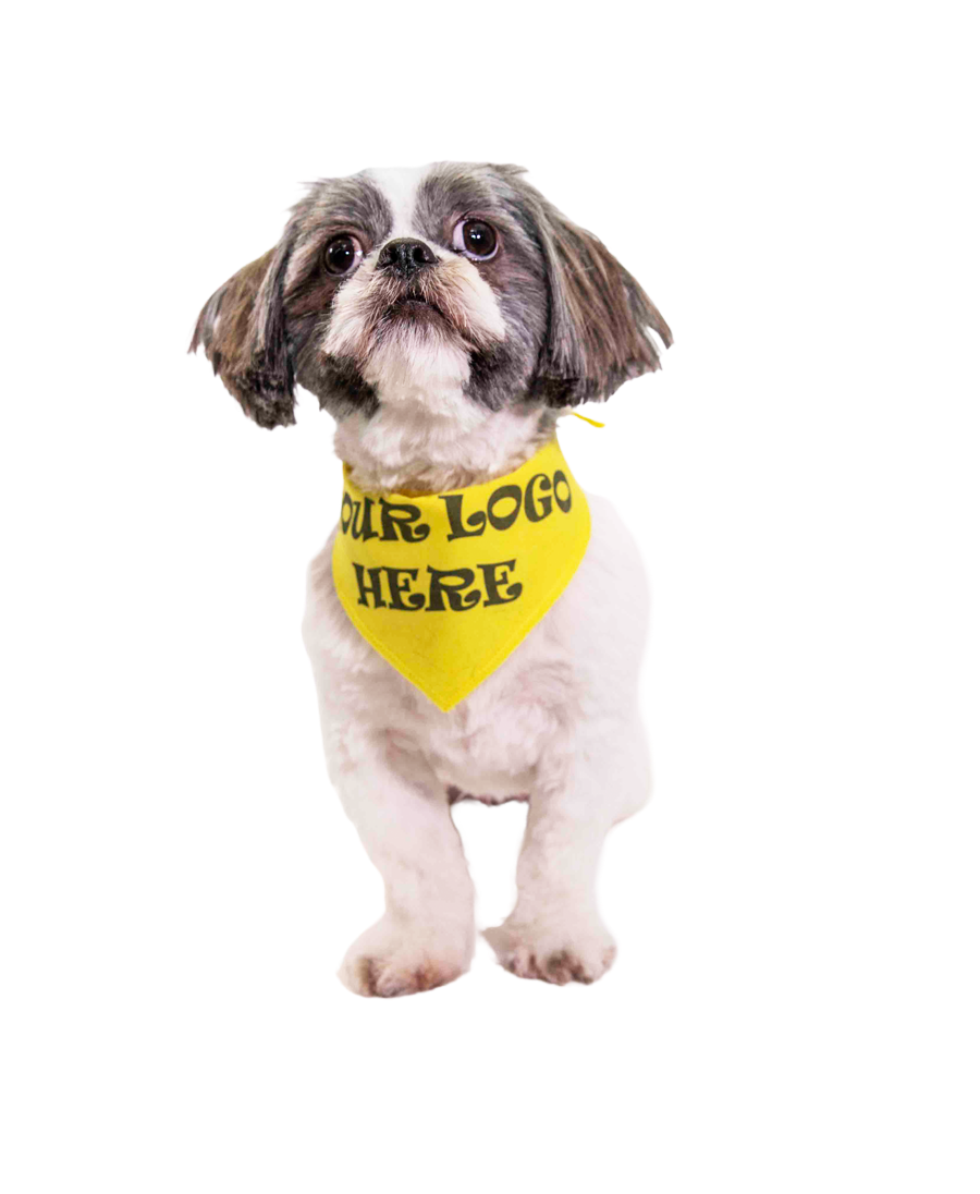 S3609 Black Logo Print, Golden Yellow Bandana
