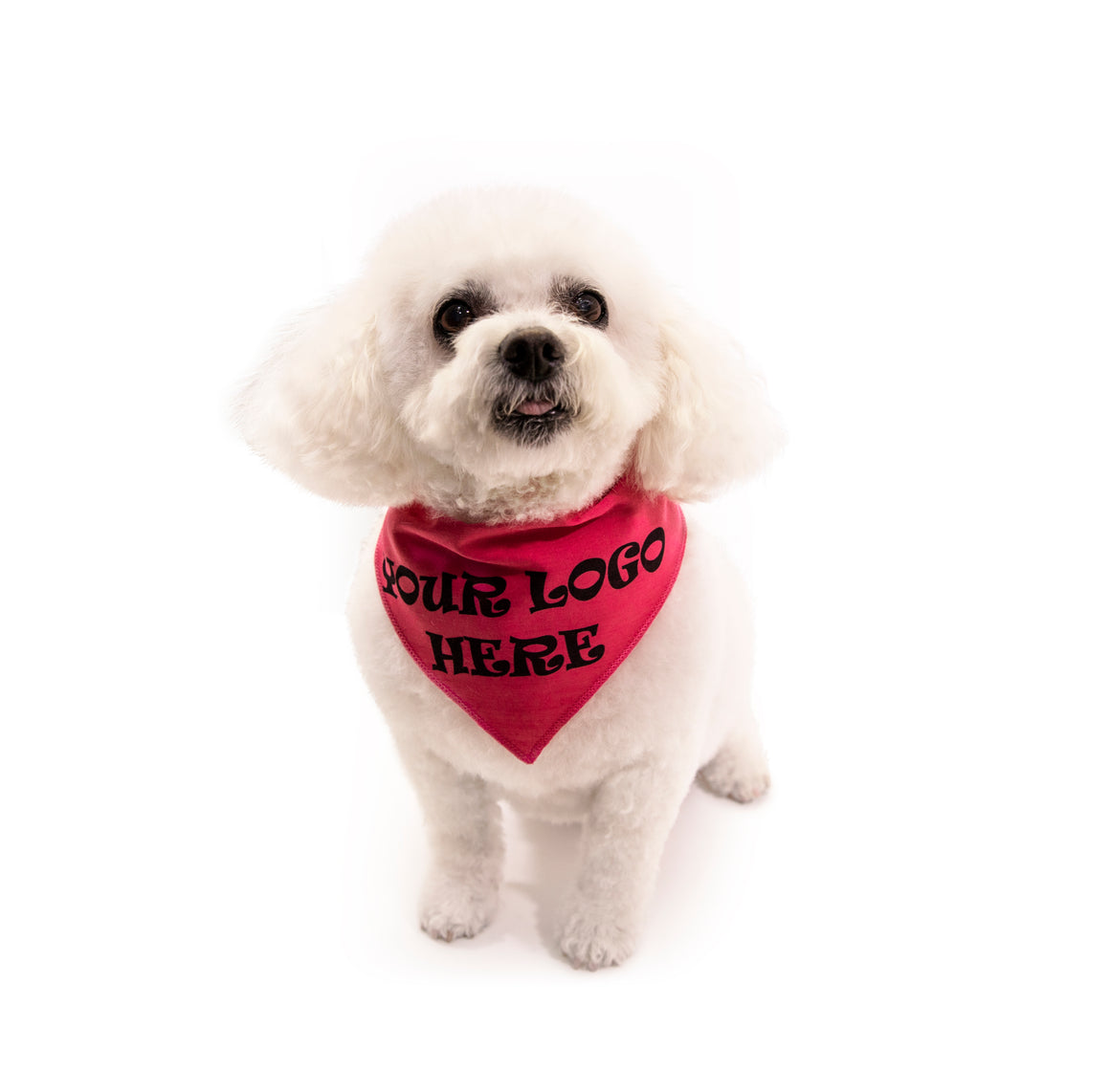 S3611 Black Logo Print, Hot Pink Bandana