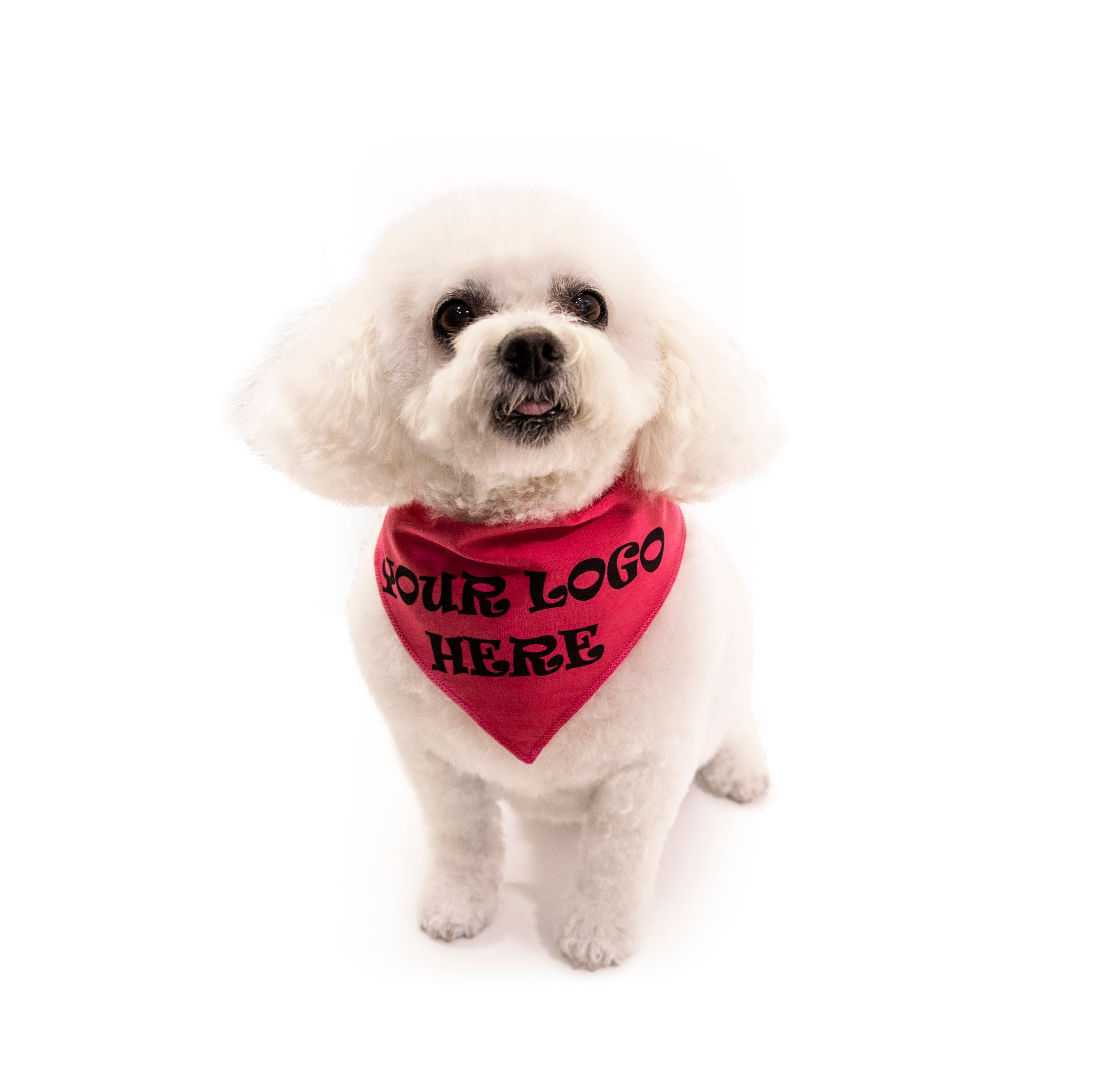 S3611 Black Logo Print, Hot Pink Bandana