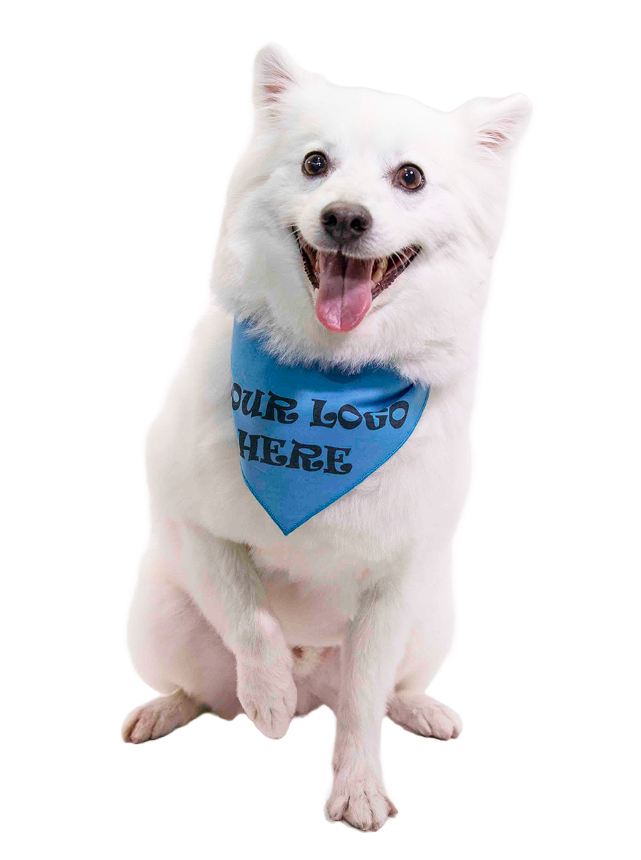 S3614 Black Logo Print, Carolina Blue Bandana