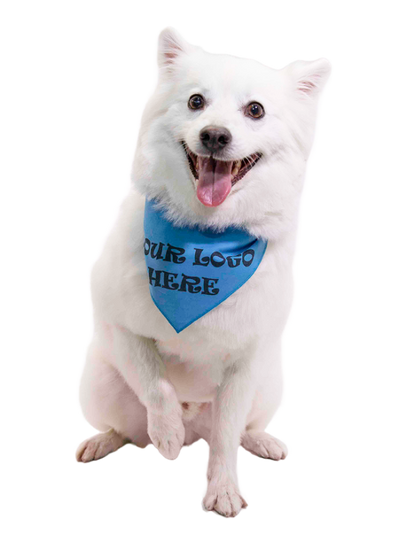 S3614 Black Logo Print, Carolina Blue Bandana