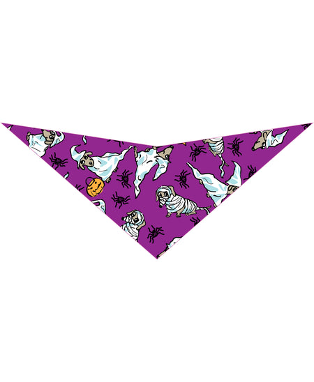 SA3064 Halloween Costume Doggie Bandana, Purple