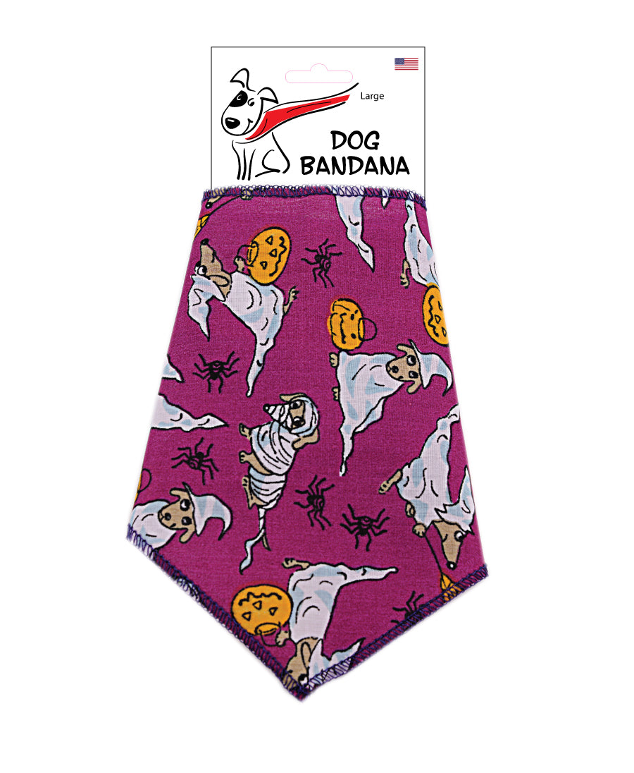 SA3064 Halloween Costume Doggie Bandana, Purple