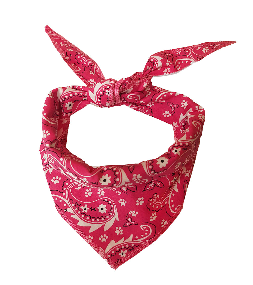 S3067 Paisley & Pawprints Bandana, Pink