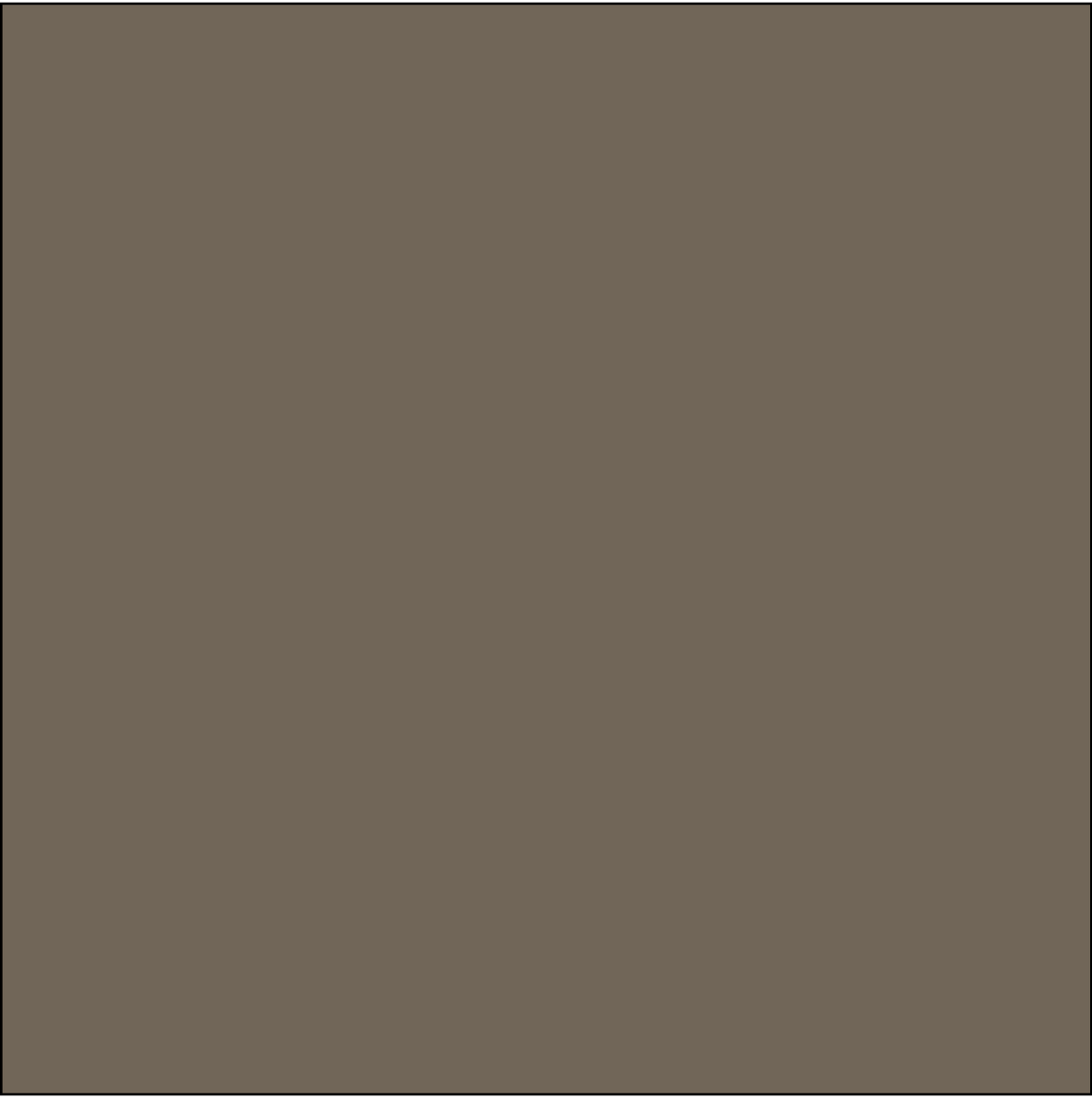 SQ3028 Brown Bandana