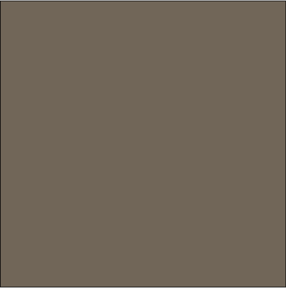 SQ3028 Brown Bandana