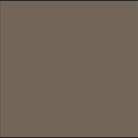 SQ3028 Brown Bandana