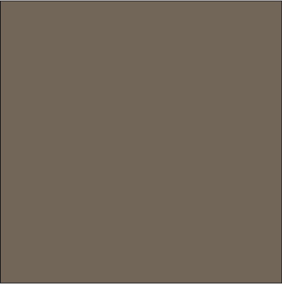 SQ3028 Brown Bandana