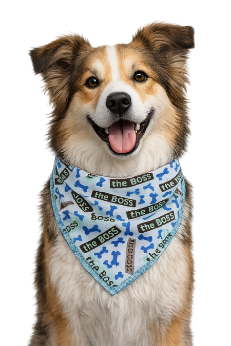 S3071 Casual The Boss Bandana Blue