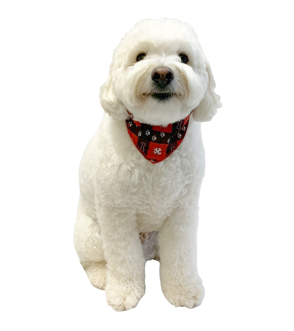 S3074 Christmas Bandanas