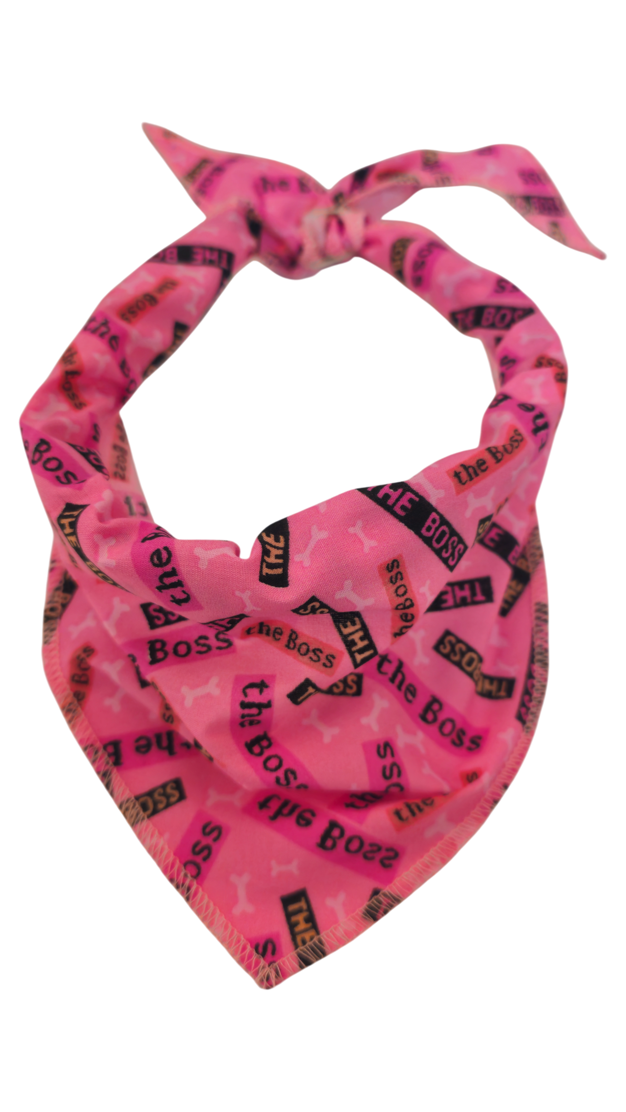 S3077 Casual Doggie Bandana