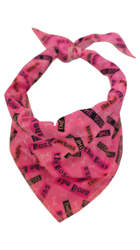 S3077 Casual Doggie Bandana