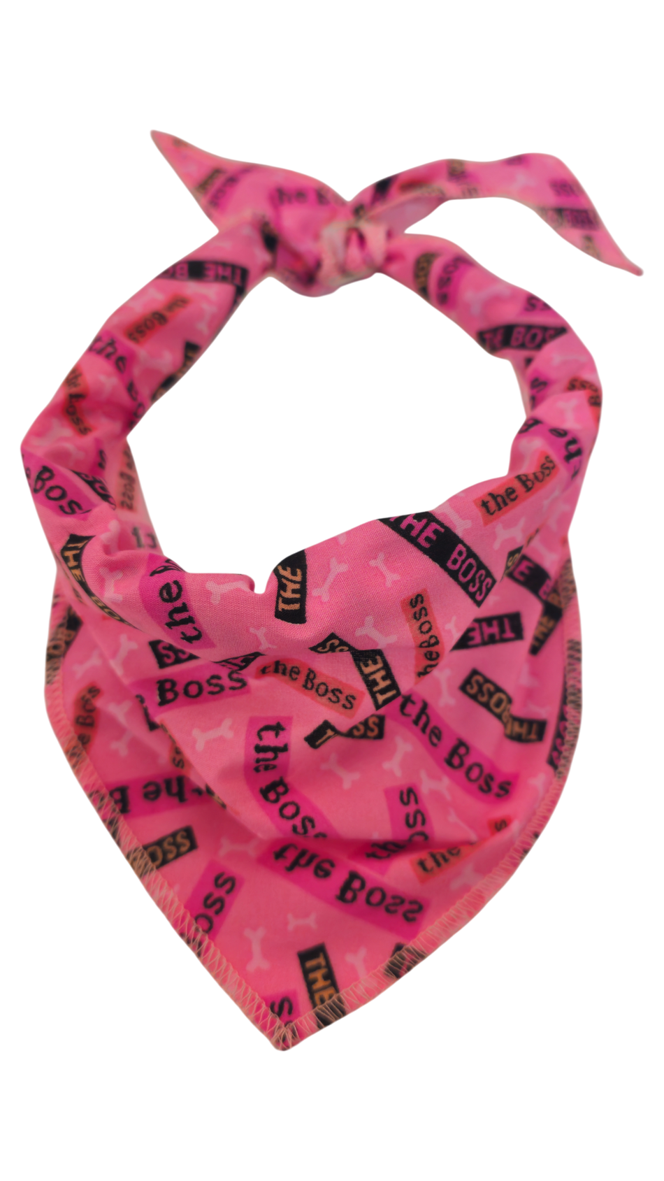 S3077 Casual Doggie Bandana