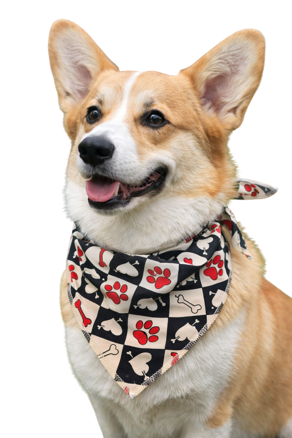 S3007 Valentine's Day Dog Bandana