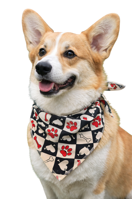 S3007 Valentine's Day Dog Bandana