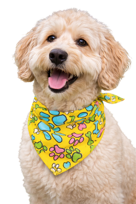 S3008 Paws & Bones Yellow