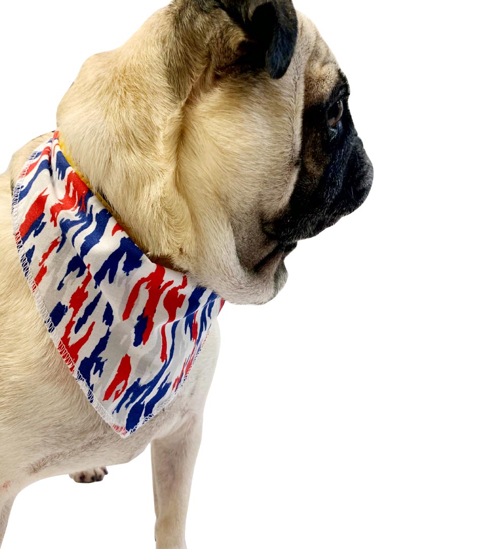 S3009 Patriotic Doggie Bandana