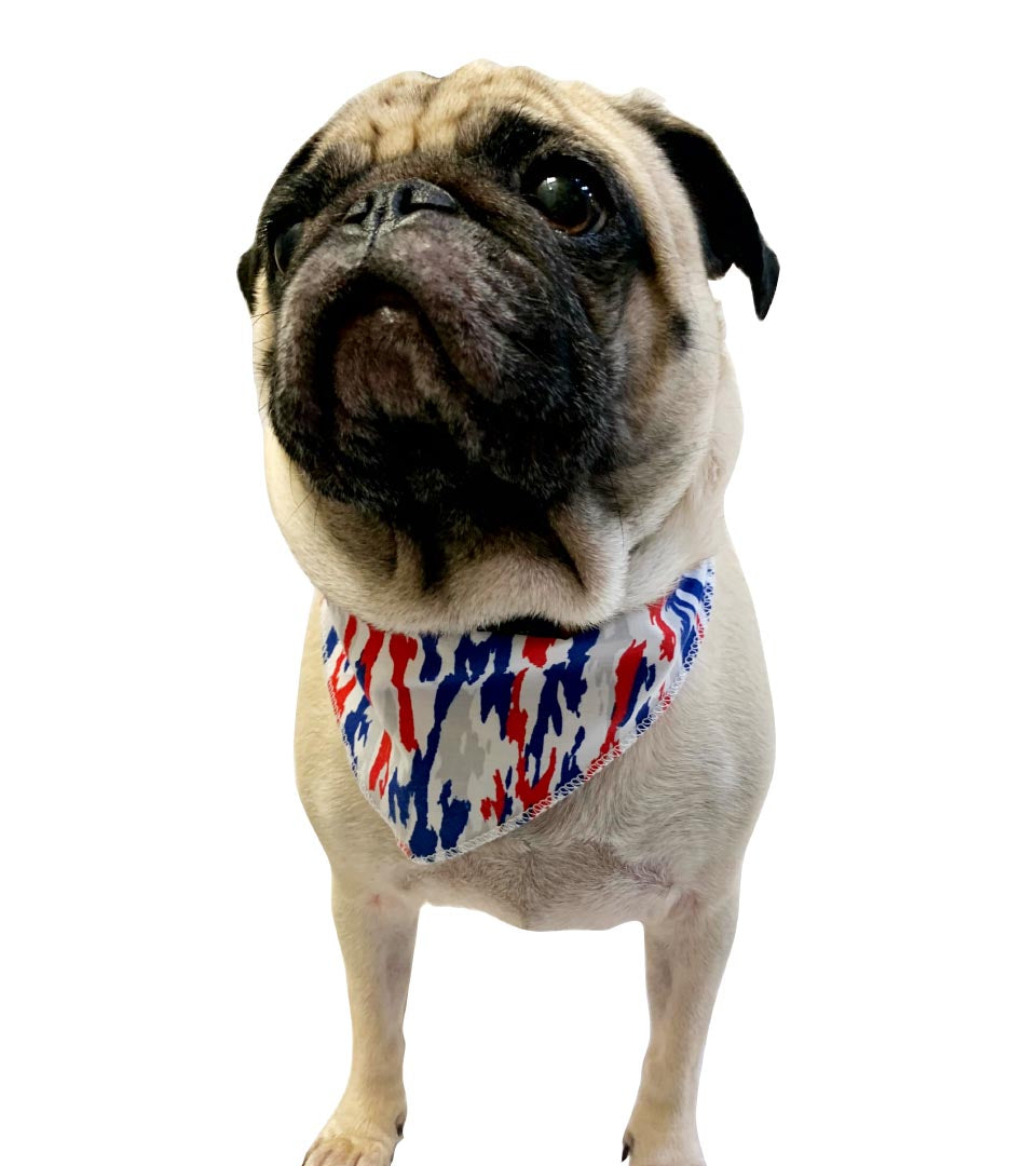 S3009 Patriotic Doggie Bandana