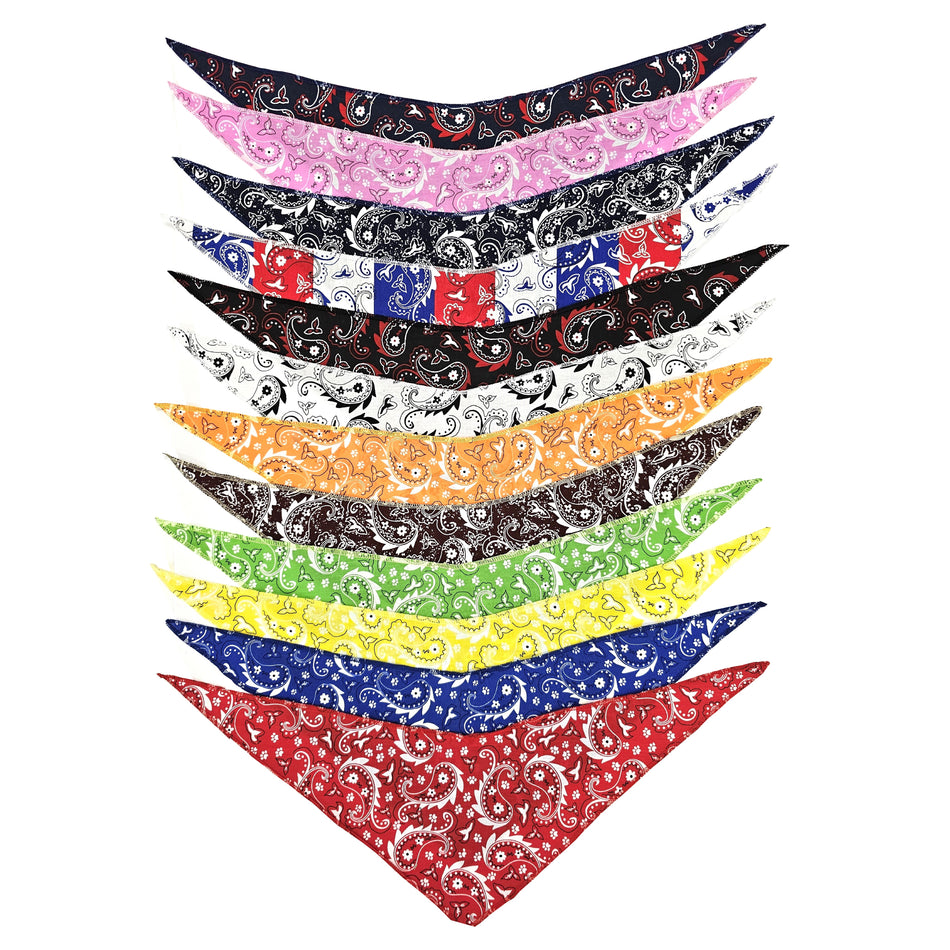SPKS2 Bandanas Variety Pack Per Size - 12 assorted PAISLEY bandanas