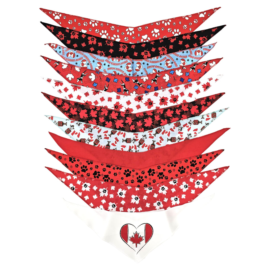 SPKS5 Bandanas Variety Pack Per Size - 12 assorted NATIONAL DAY-FLAGS bandanas