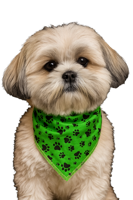 S3001 Black Pawprints Bandana, Green