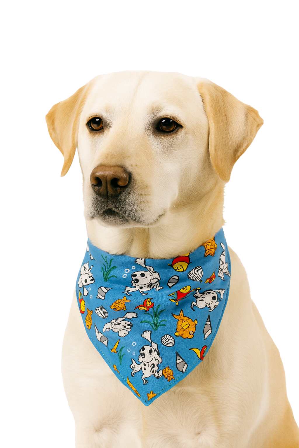 S3107 Summer Doggie Bandana