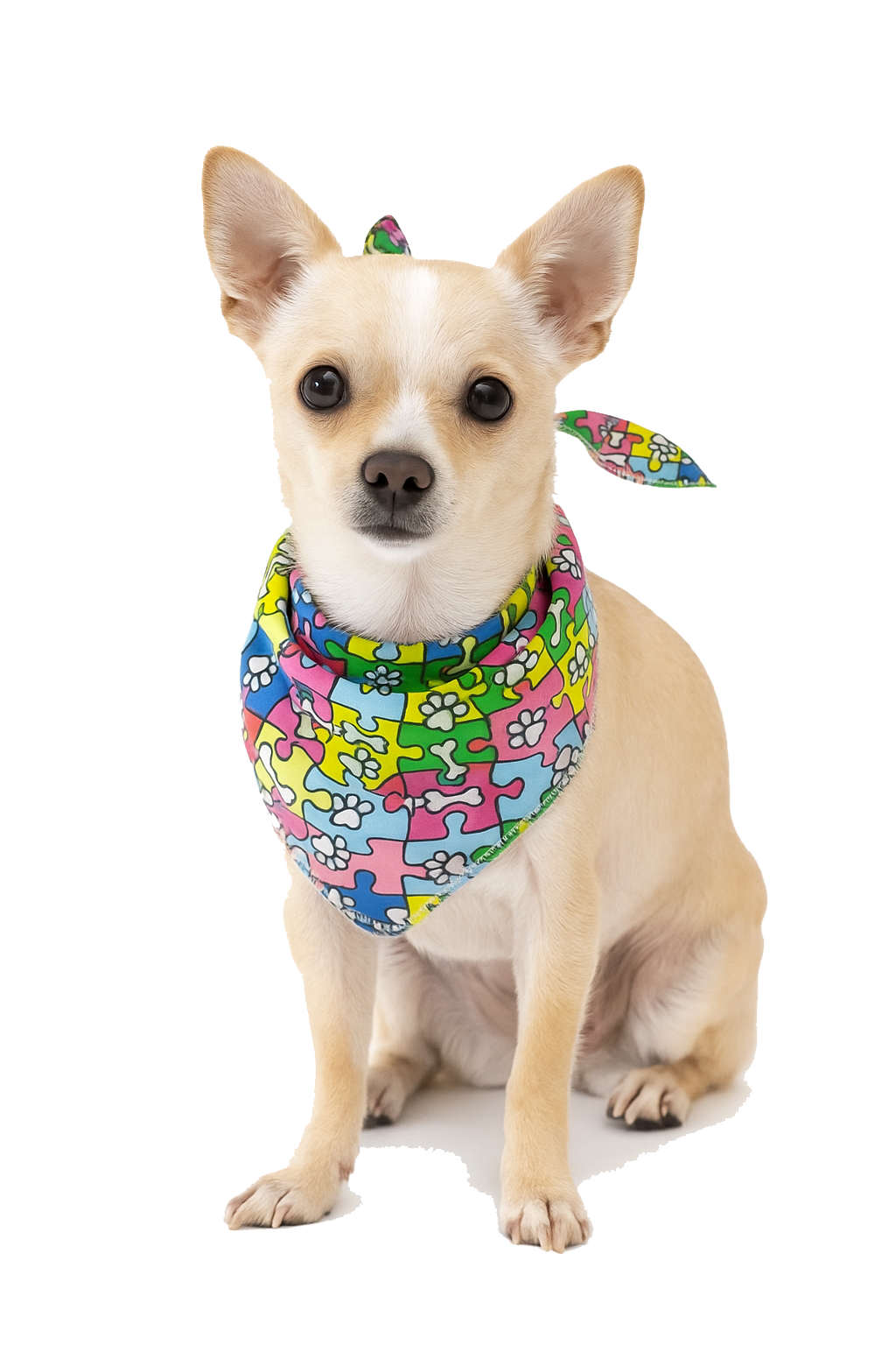 S3112 Paws N Bones Bandana