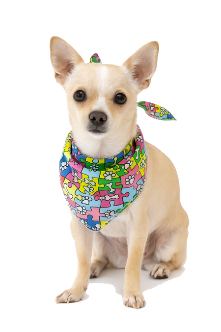 S3112 Paws N Bones Bandana