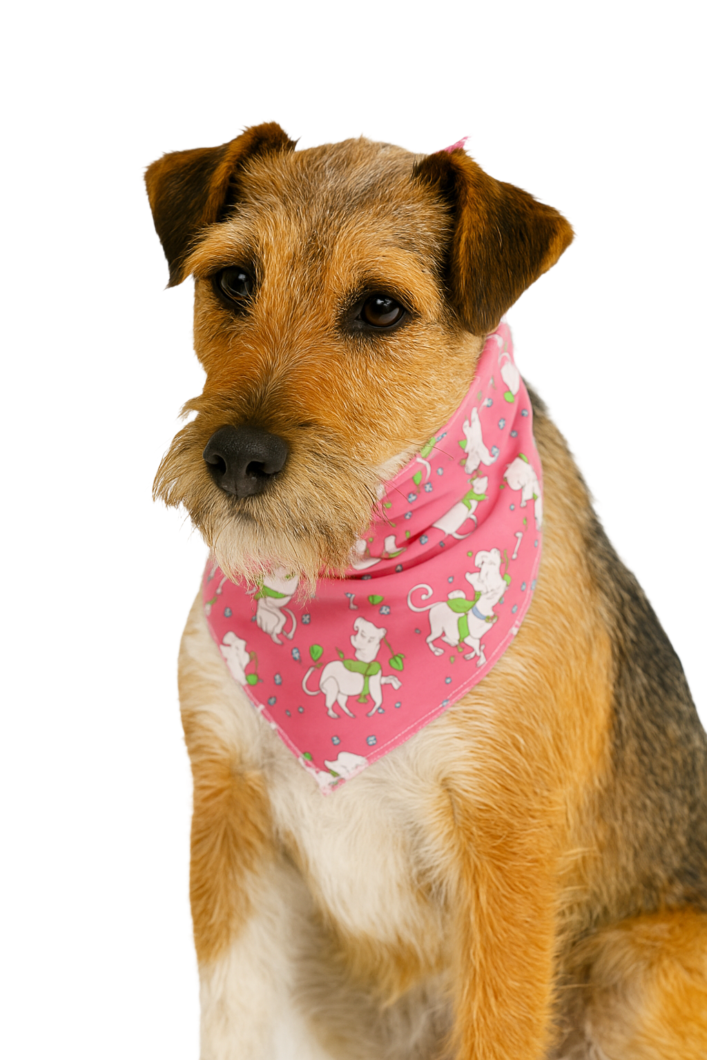 S3113 Fashion Doggie Bandana, Pink