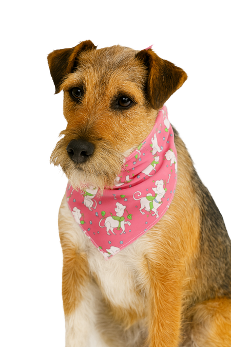 S3113 Fashion Doggie Bandana, Pink