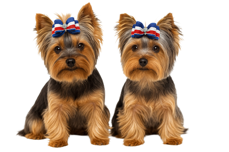 B1113