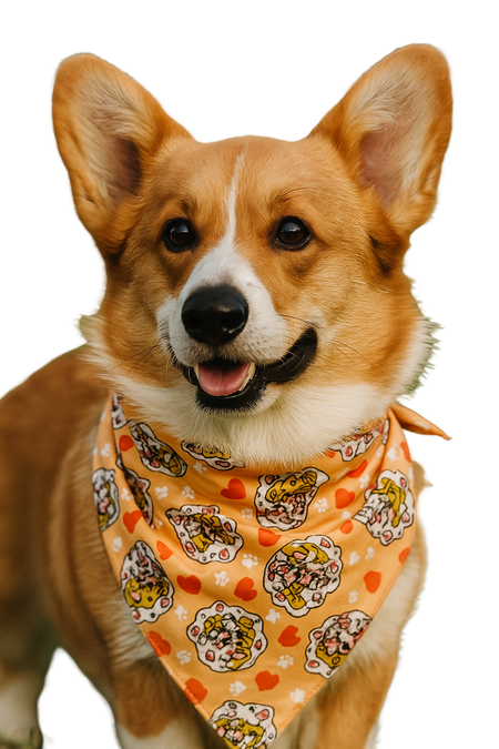 SA3116 In Love Doggie Bandana
