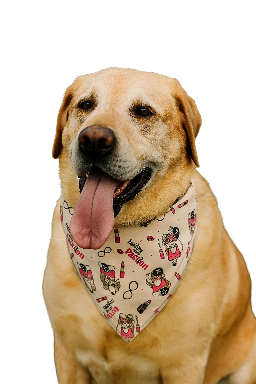 SA3118 Fashion Is My Passion Doggie Bandana, Grey
