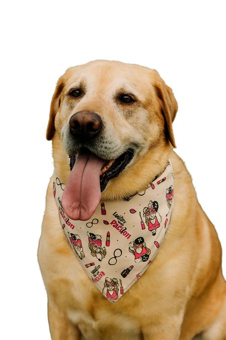 SA3118 Fashion Is My Passion Doggie Bandana, Grey