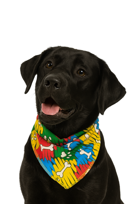 S3119 Paws & Bones