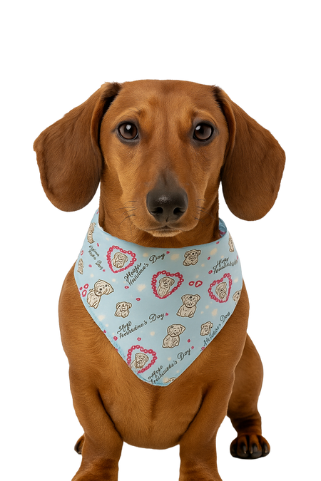 S3120 Valentine's Day Doggie Bandana, Blue