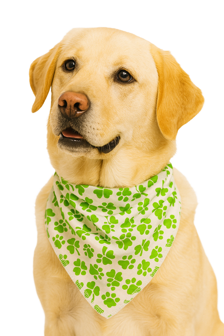 S3123 St. Patrick's Day Bandana Green/White