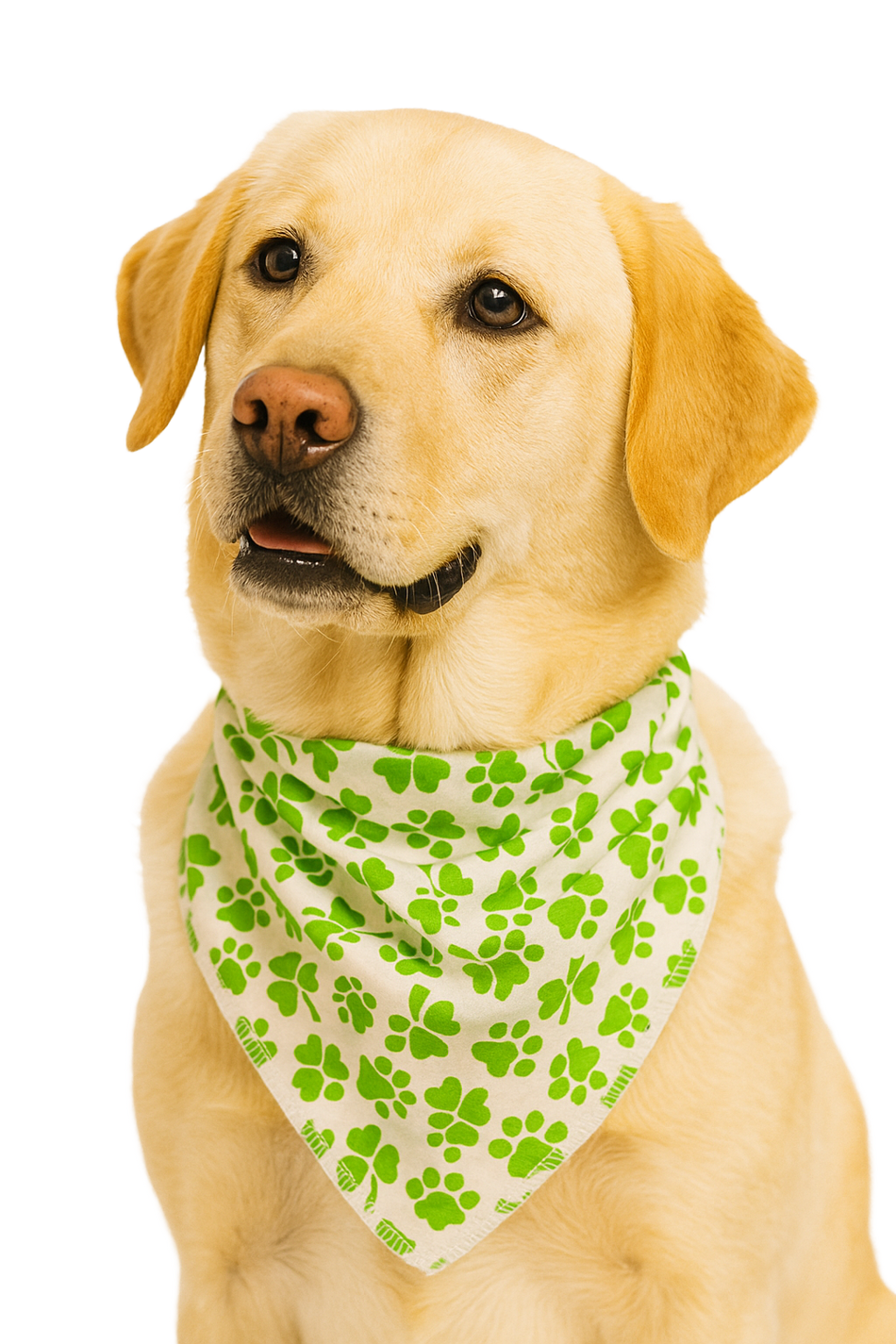 S3123 St. Patrick's Day Bandana Green/White