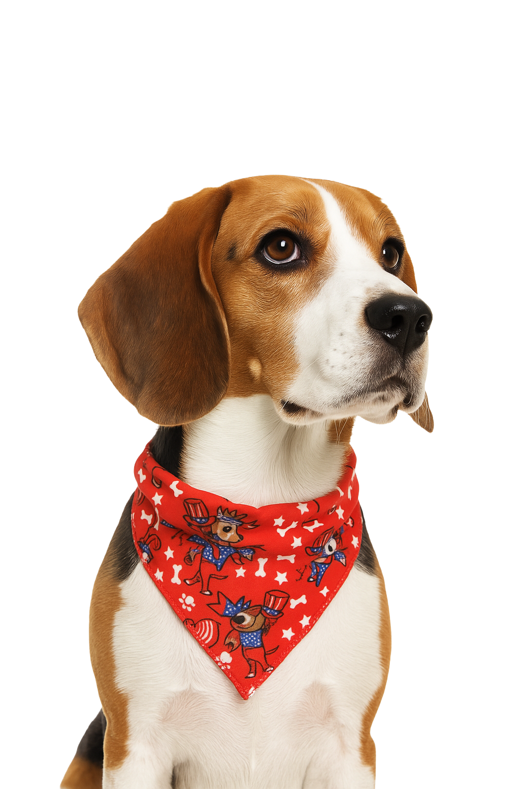 S3129 American Flag Doggie Bandana, Red