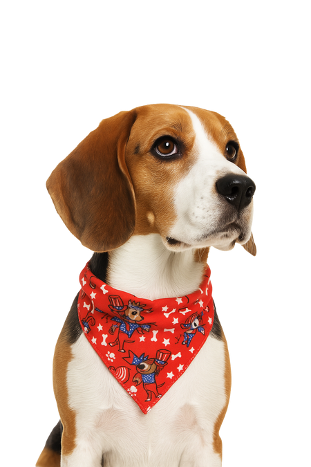 S3129 American Flag Doggie Bandana, Red