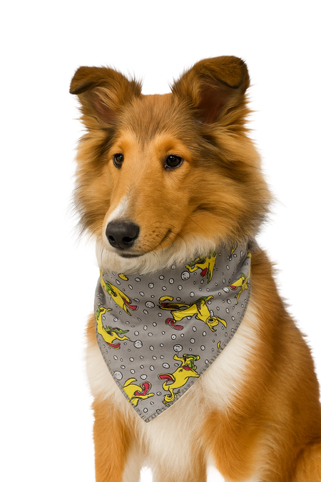 SA3133 Ice Skating Puppy Bandana, Grey