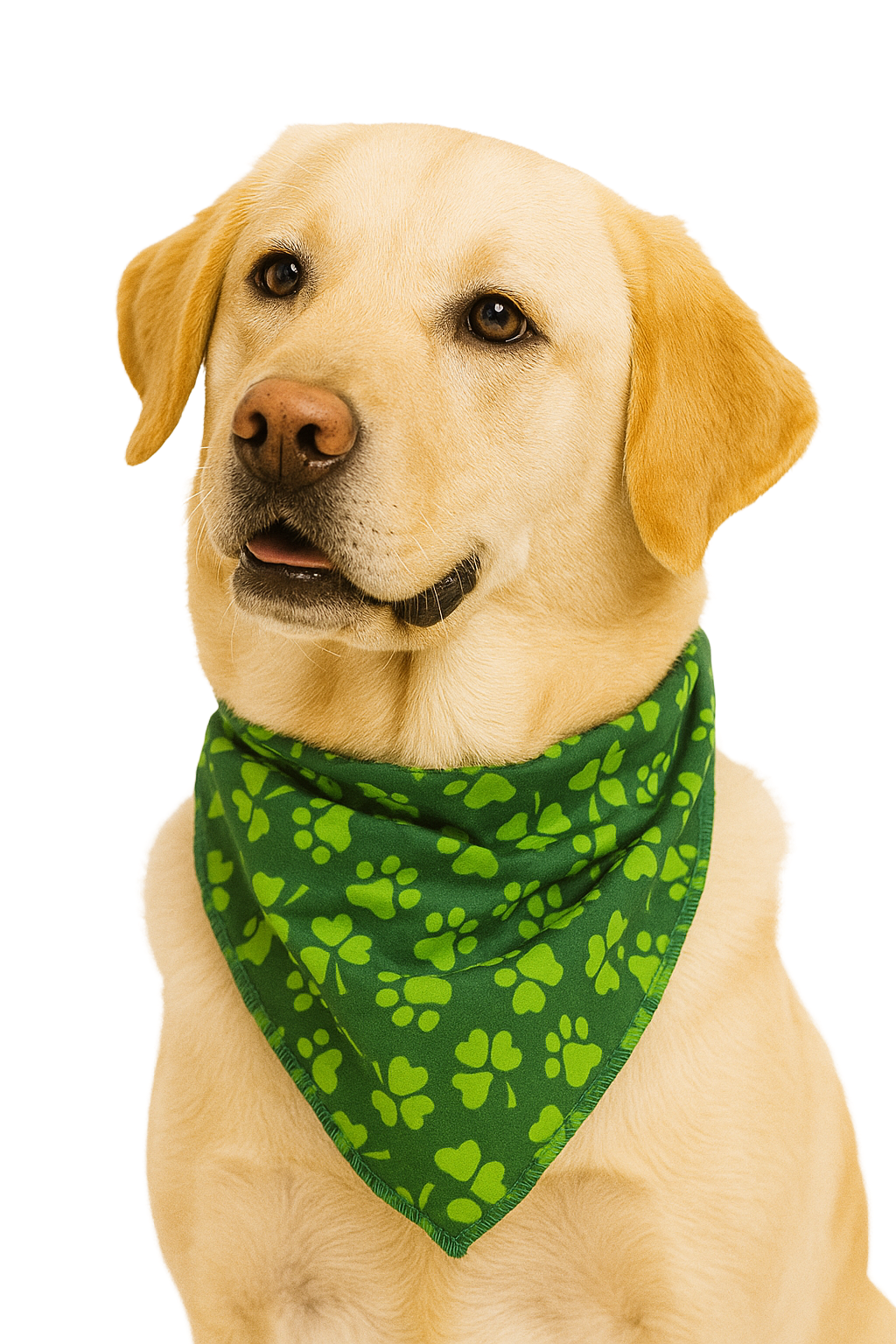 S3140 St. Patrick's Day Bandana Green