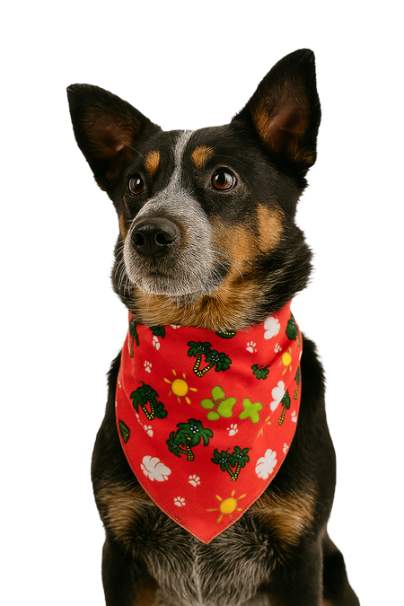 S3142 Summer Bandana Red