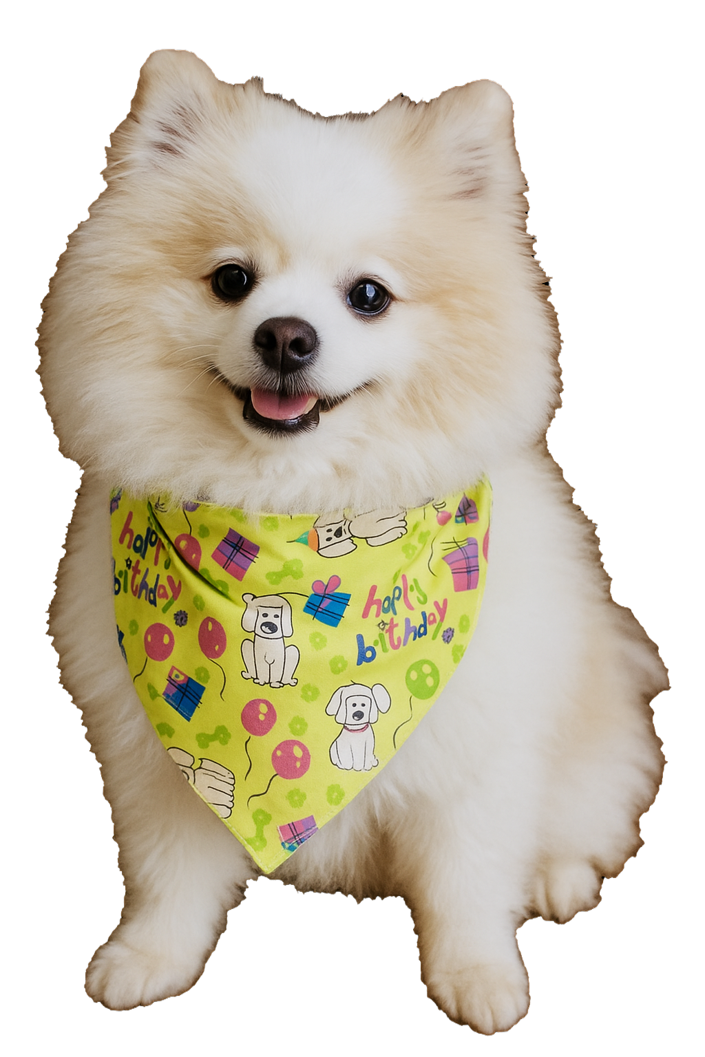 S3144 Happy Birthday Doggie Bandana, Green