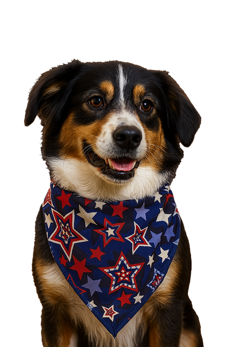 SA3149 Patriotic Bandana