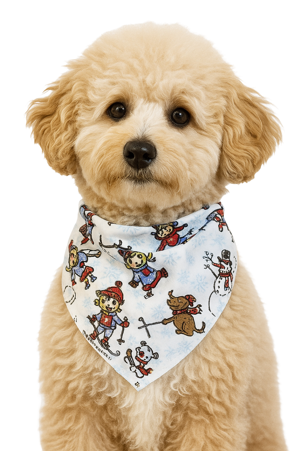 S3162 Winter Holiday Bandana