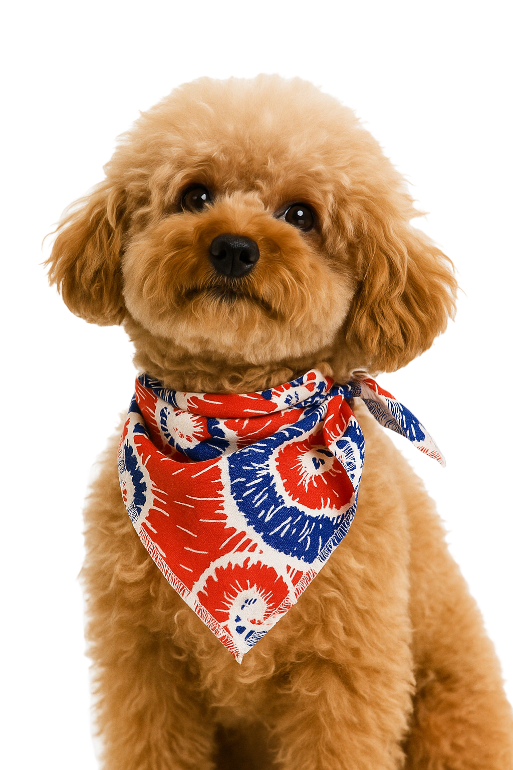 S3016 Patriotic Doggie Bandana, White