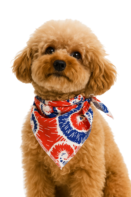 S3016 Patriotic Doggie Bandana, White