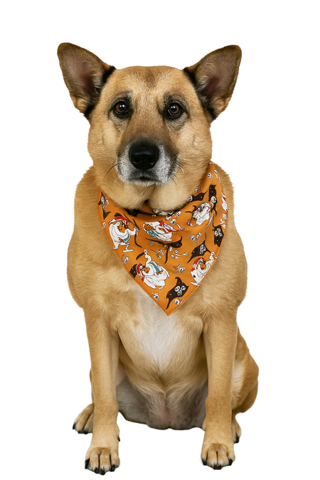S3170 Pirate Doggie Bandana