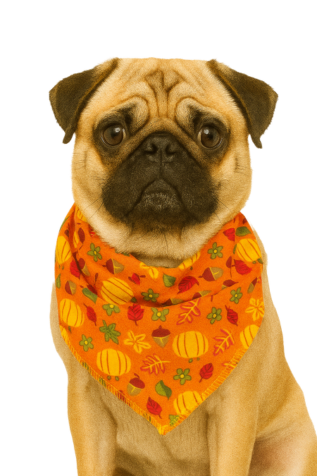 PKS11 60 Assorted FALL THANKSGIVING Tieback Dog Grooming Bandanas / Groomers Bulk Package